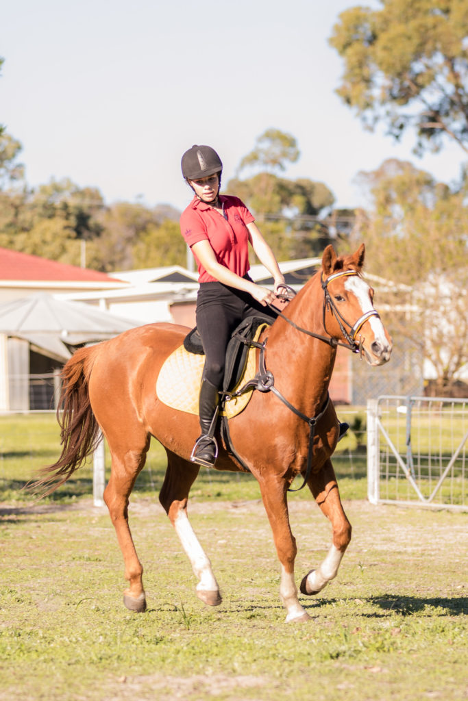 Horse photography Perth