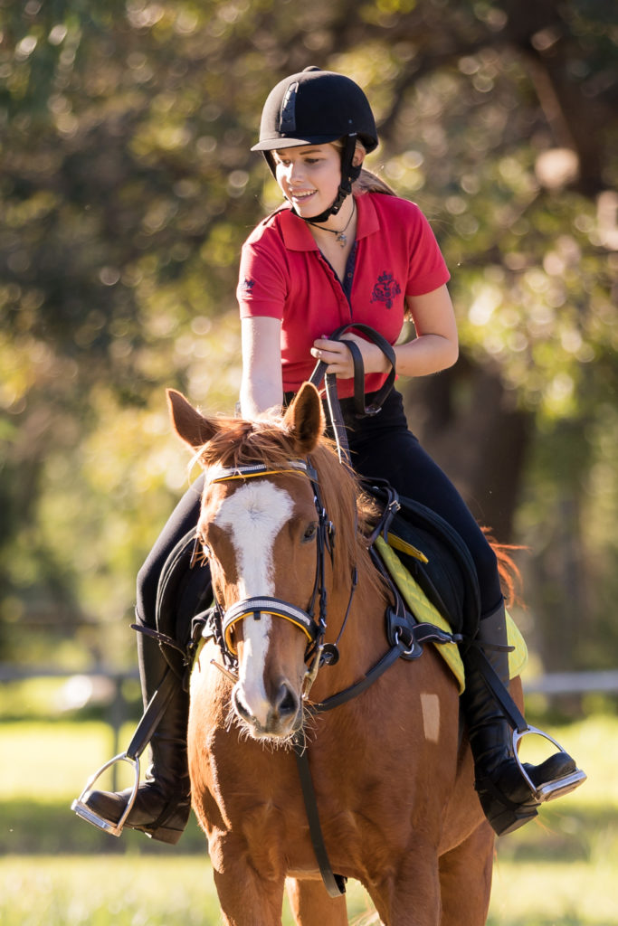 Interaction with horse