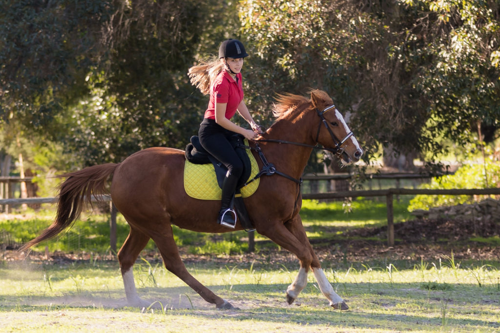 Sophie takes her horse Cruz for a ride.