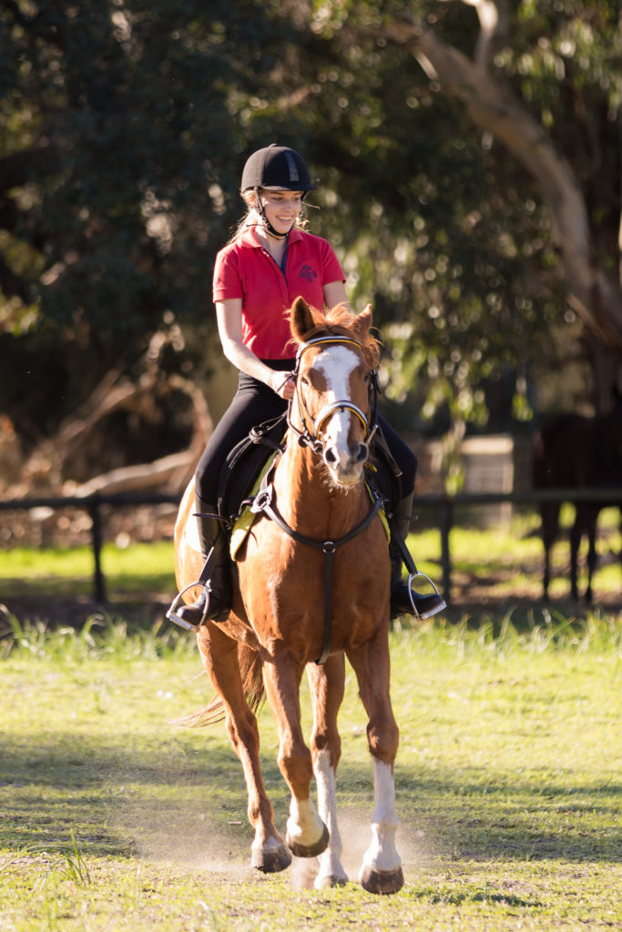 horse riding front on