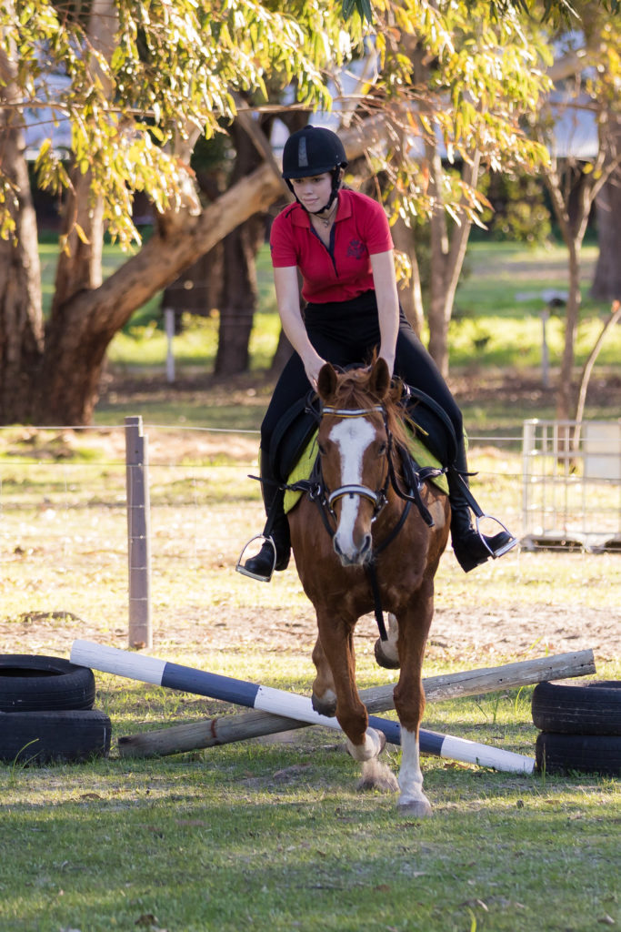 landing a jump on a horse