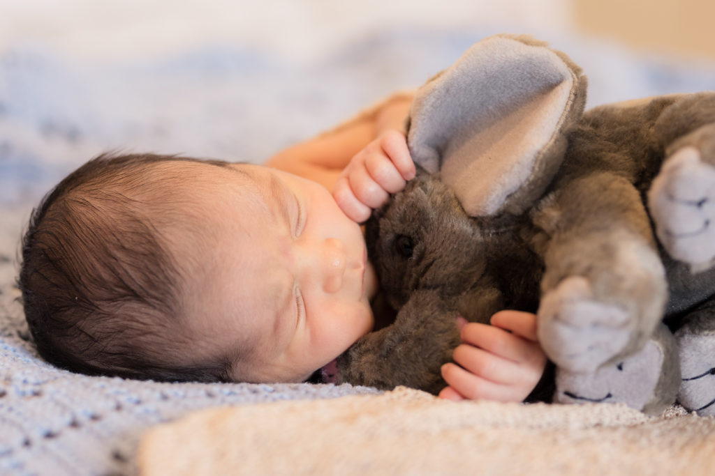 newborn cuddling an elephant